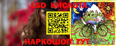 гидра Славгород