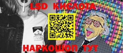 гидра Славгород