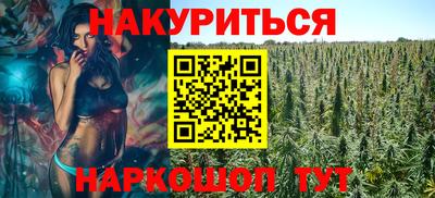 гидра Славгород