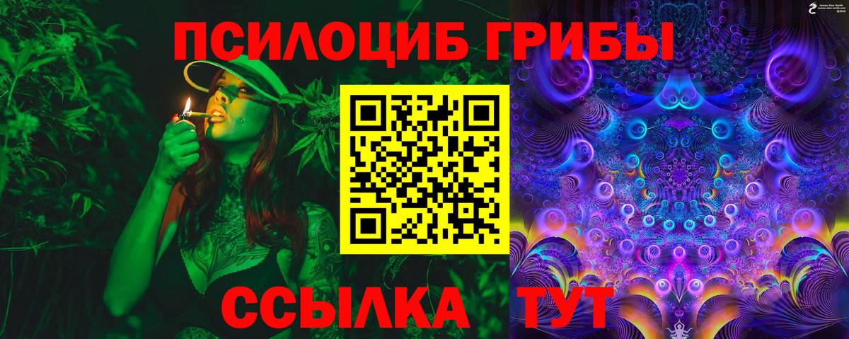 Псков  Галлюциногенные грибы Psilocybe  Псилоцибиновые грибы Psilocybe  Вход с VPN 