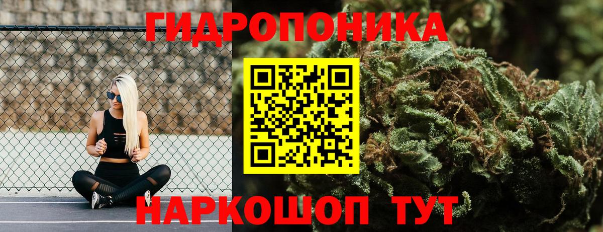 Шишки марихуана Ganja  Вход с VPN  Шишки марихуана VHQ  Бошки марихуана гибрид  Псков 
